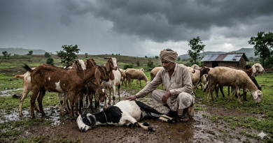 ⚡ खेड बुद्रुकमध्ये विजेच्या कडकडाटात शेळीचा मृत्यू